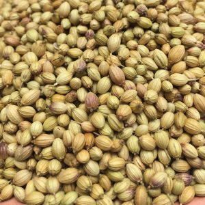 Coriander (Dhania Seeds) 