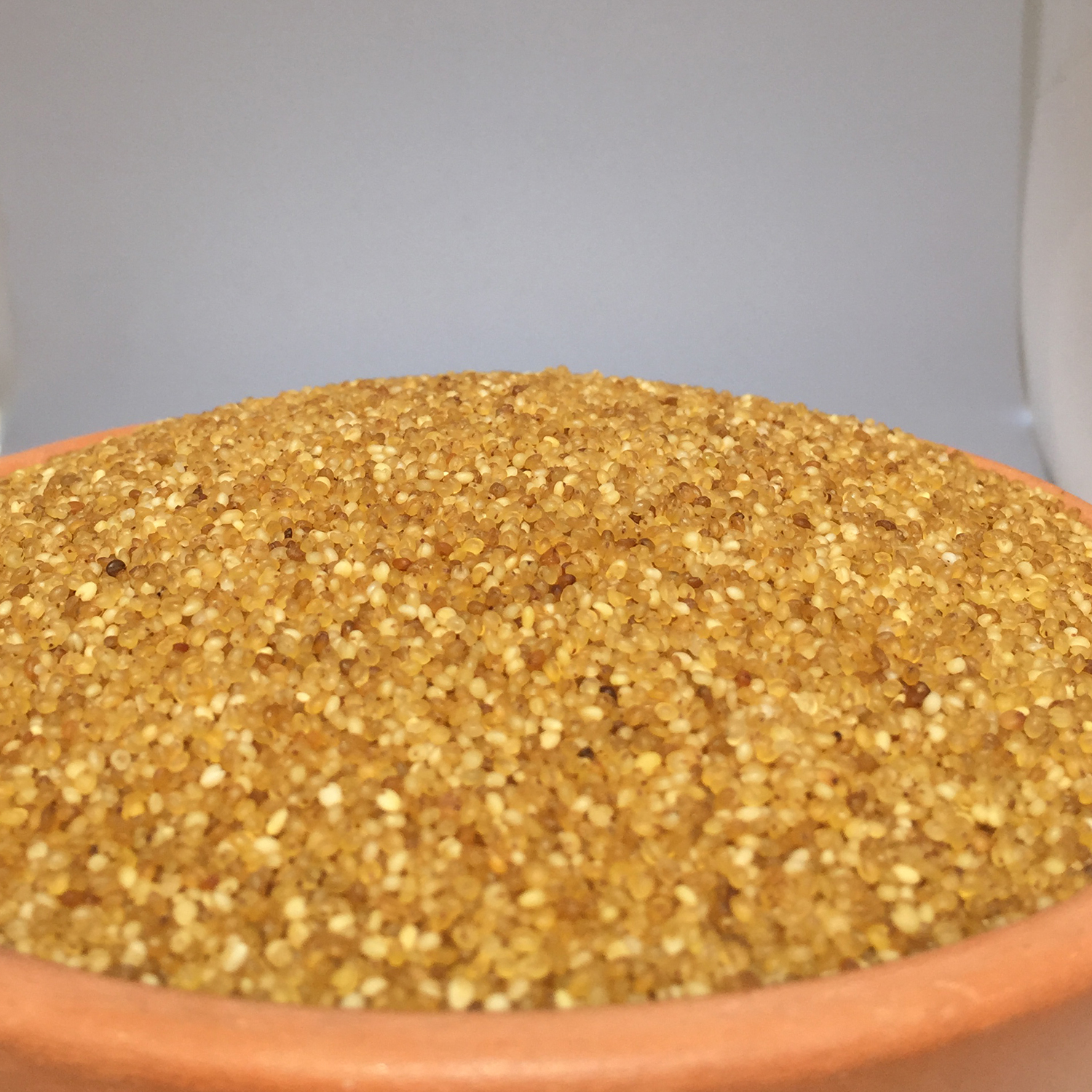Foxtail Millet boiled (Thinai) Organic Shandy in Chennai