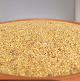 Foxtail Millet (THINAI)