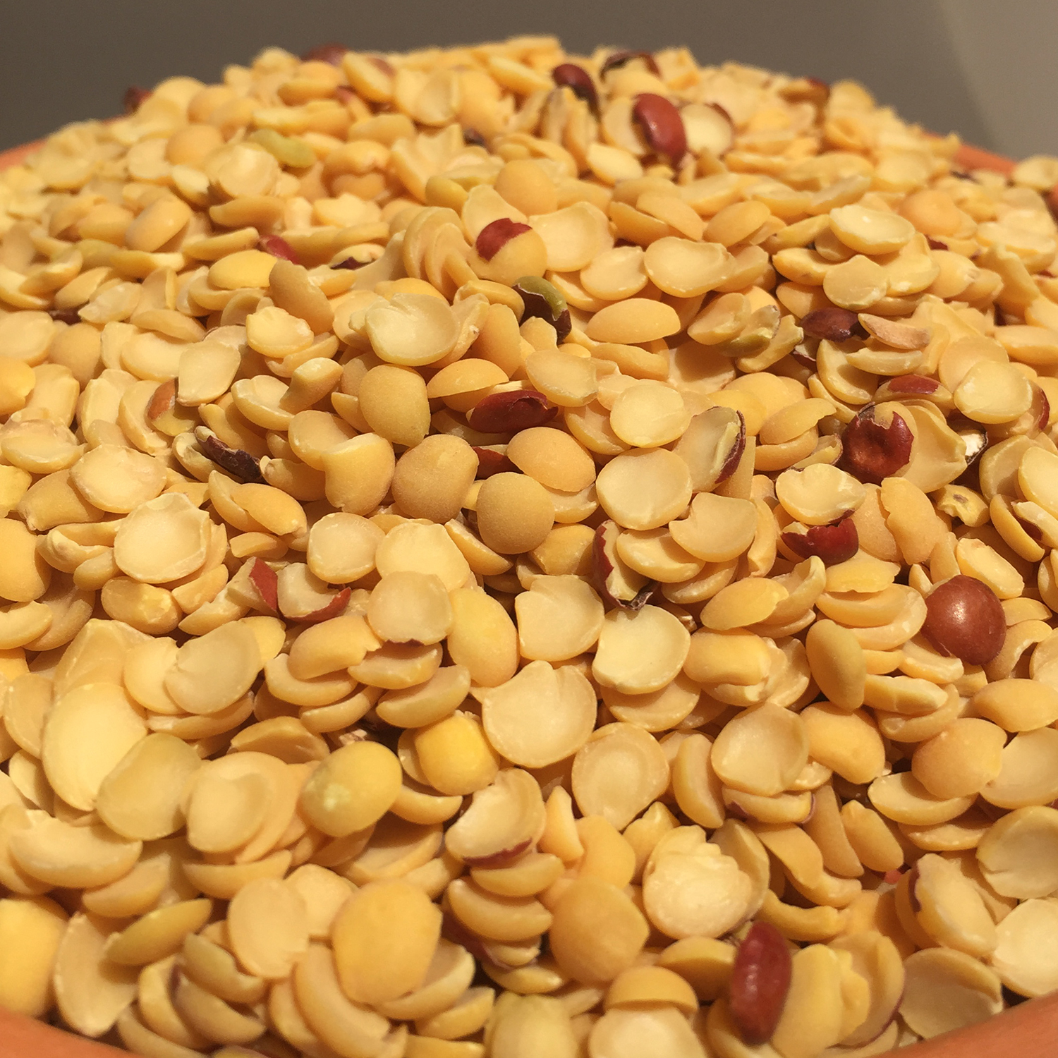 Buy Organic Red Toor Dal 500 gm Shandy Organic Chennai