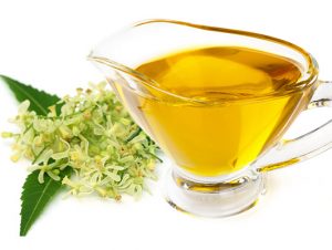 Neem Oil