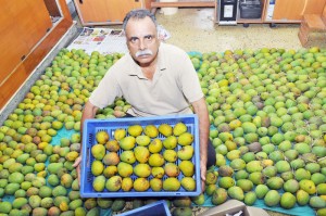 Organic Mango in mylapore
