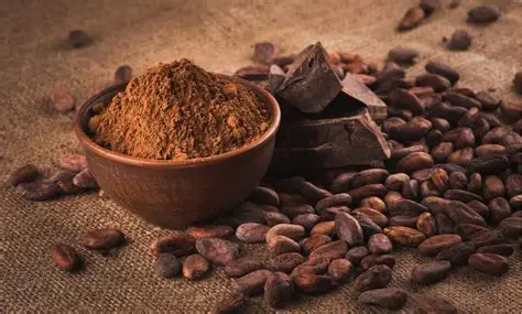 Cacao Powder - Non Alkalised