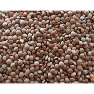 Masoor Dal Whole (with skin)
