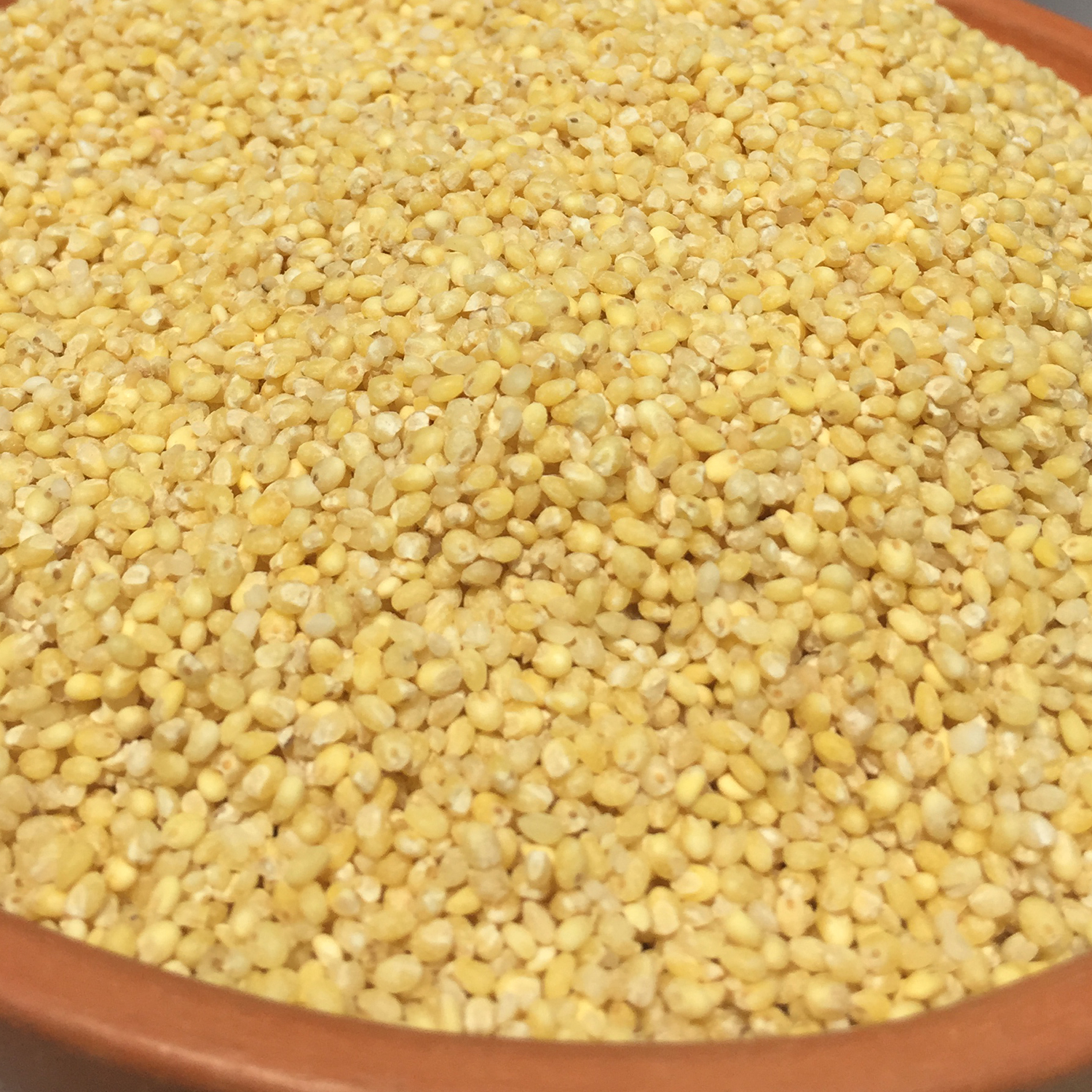 Panivaragu (Proso Millet)