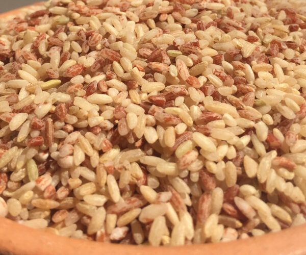 Rajamudi-Rice.jpg Rajamudi-Rice.jpg