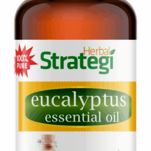 Eucalyptus - Essential Oil