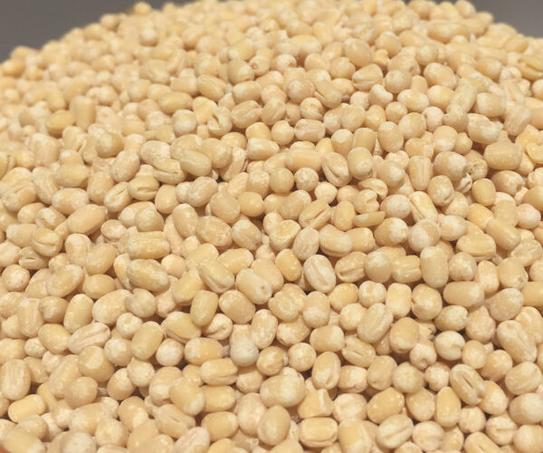 Urad-Whole-white.jpg Urad-Whole-white.jpg