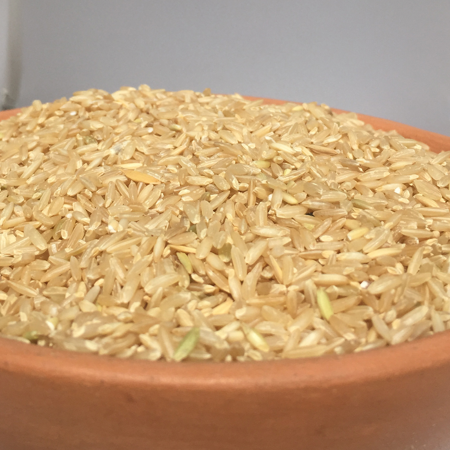 Sona Masoori Raw Rice - Unpolished