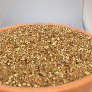 Kuthiraivali Boiled (Barnyard Millet)